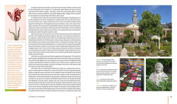 Alternative view 12 of The History of Landscape Design in 100 Gardens