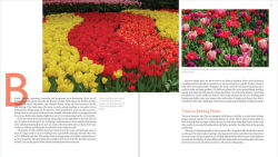 Alternative view 3 of The Plant Lover's Guide to Tulips