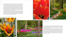 Alternative view 5 of The Plant Lover's Guide to Tulips