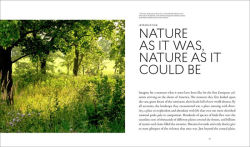 Alternative view 2 of Planting in a Post-Wild World: Designing Plant Communities for Resilient Landscapes