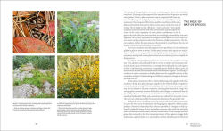 Alternative view 3 of Planting in a Post-Wild World: Designing Plant Communities for Resilient Landscapes