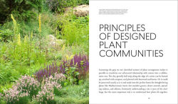 Alternative view 4 of Planting in a Post-Wild World: Designing Plant Communities for Resilient Landscapes