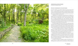 Alternative view 7 of Planting in a Post-Wild World: Designing Plant Communities for Resilient Landscapes