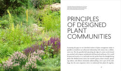 Alternative view 8 of Planting in a Post-Wild World: Designing Plant Communities for Resilient Landscapes