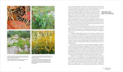 Alternative view 9 of Planting in a Post-Wild World: Designing Plant Communities for Resilient Landscapes