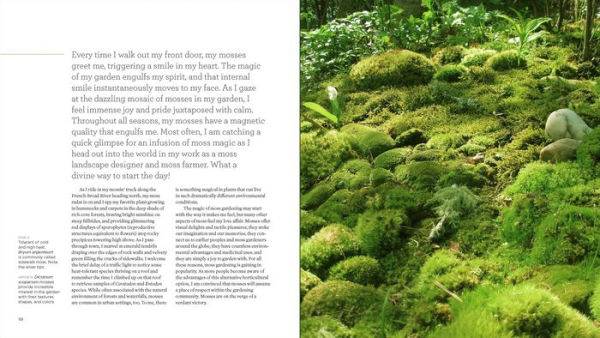 The Magical World of Moss Gardening