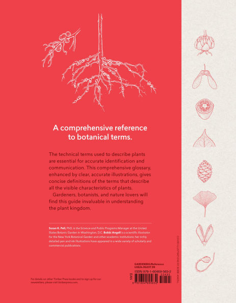 A Botanist's Vocabulary: 1300 Terms Explained and Illustrated