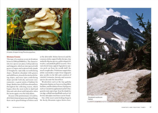 Mushrooms Of The Rocky Mountain Region Timber Press Field