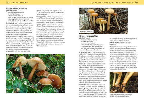 Mushrooms Of The Rocky Mountain Region Timber Press Field