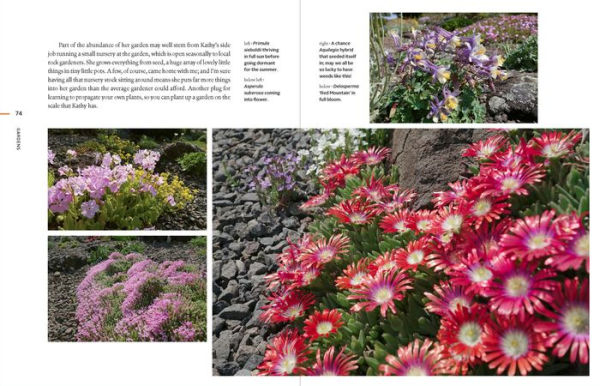 Rock Gardening: Reimagining a Classic Style