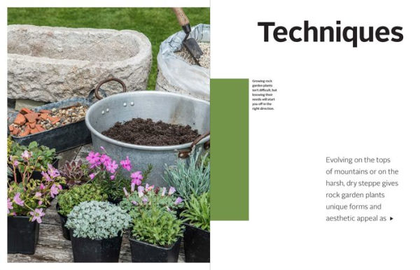 Rock Gardening: Reimagining a Classic Style