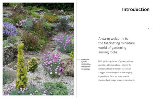 Rock Gardening: Reimagining a Classic Style