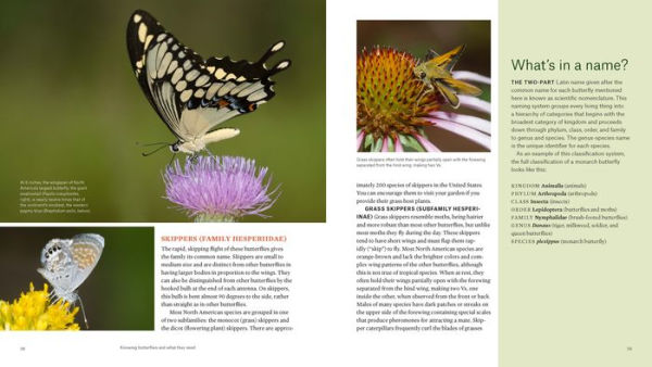 Gardening for Butterflies: How You Can Attract and Protect Beautiful, Beneficial Insects