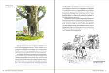 Alternative view 3 of The Natural World of Winnie-the-Pooh: A Walk Through the Forest that Inspired the Hundred Acre Wood