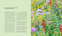 Alternative view 3 of Garden Revolution: How Our Landscapes Can Be a Source of Environmental Change