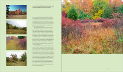 Alternative view 6 of Garden Revolution: How Our Landscapes Can Be a Source of Environmental Change