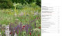 Alternative view 3 of Sowing Beauty: Designing Flowering Meadows from Seed
