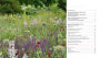 Alternative view 8 of Sowing Beauty: Designing Flowering Meadows from Seed