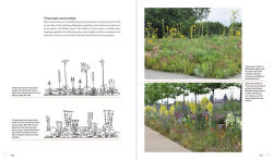 Alternative view 10 of Sowing Beauty: Designing Flowering Meadows from Seed