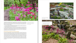 Alternative view 3 of The Plant Lover's Guide to Primulas