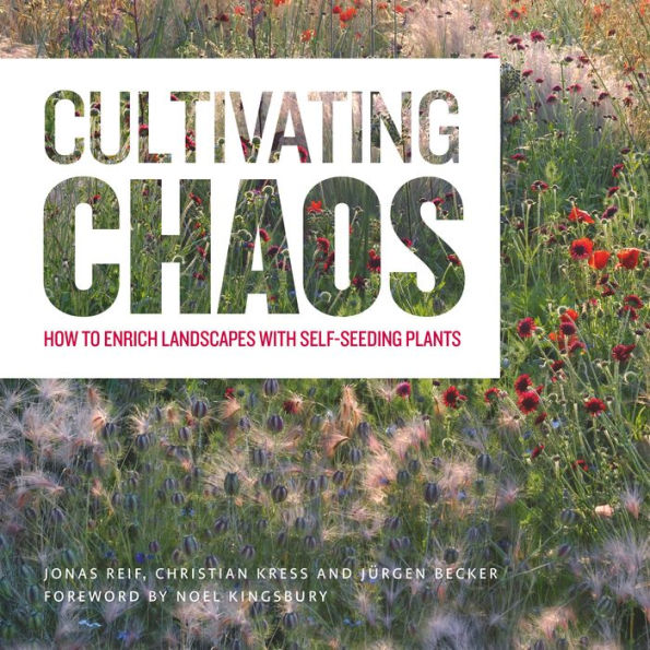 Cultivating Chaos: How to Enrich Landscapes with Self-Seeding Plants