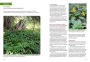 Alternative view 12 of Mountain States Medicinal Plants: Identify, Harvest, and Use 100 Wild Herbs for Health and Wellness