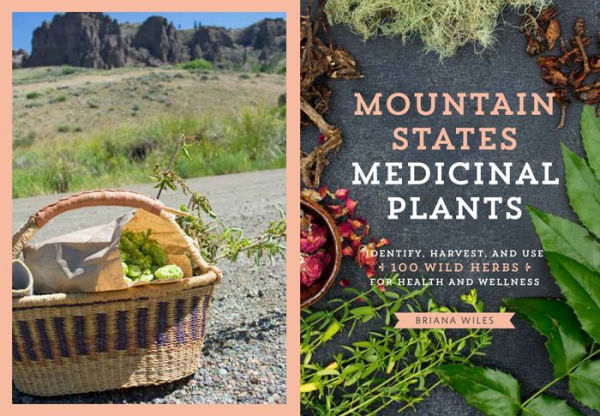 Mountain States Medicinal Plants: Identify, Harvest, and Use 100 Wild Herbs for Health and Wellness