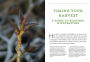 Alternative view 3 of Mountain States Medicinal Plants: Identify, Harvest, and Use 100 Wild Herbs for Health and Wellness