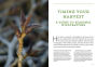 Alternative view 9 of Mountain States Medicinal Plants: Identify, Harvest, and Use 100 Wild Herbs for Health and Wellness