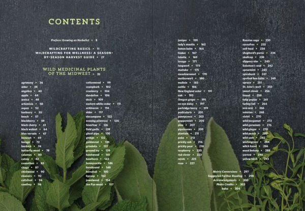 Midwest Medicinal Plants: Identify, Harvest, and Use 109 Wild Herbs for Health and Wellness