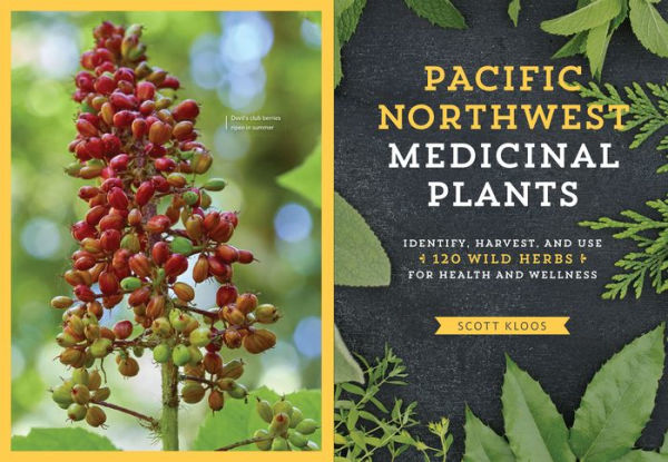 Pacific Northwest Medicinal Plants: Identify, Harvest, and Use 120 Wild Herbs for Health and Wellness