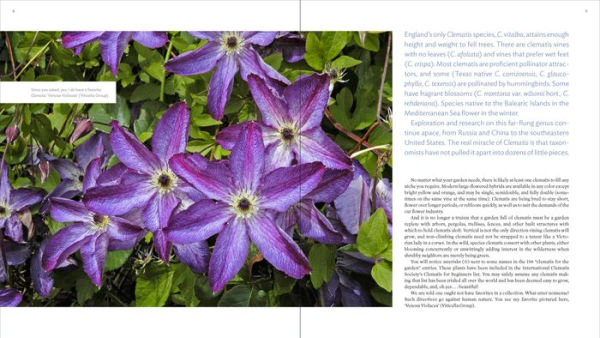 The Plant Lover's Guide to Clematis