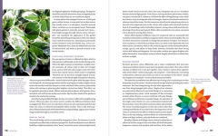 Alternative view 5 of The Essential Garden Design Workbook: Completely Revised and Expanded