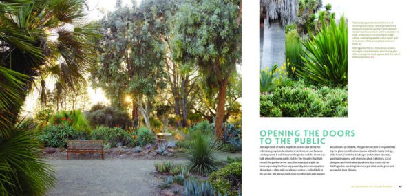 The Bold Dry Garden: Lessons from the Ruth Bancroft Garden