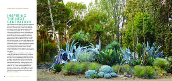 The Bold Dry Garden: Lessons from the Ruth Bancroft Garden