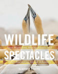 Alternative view 1 of Wildlife Spectacles: Mass Migrations, Mating Rituals, and Other Fascinating Animal Behaviors