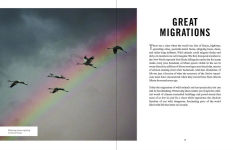 Alternative view 4 of Wildlife Spectacles: Mass Migrations, Mating Rituals, and Other Fascinating Animal Behaviors