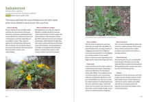 Alternative view 3 of Mountain States Foraging: 115 Wild and Flavorful Edibles from Alpine Sorrel to Wild Hops