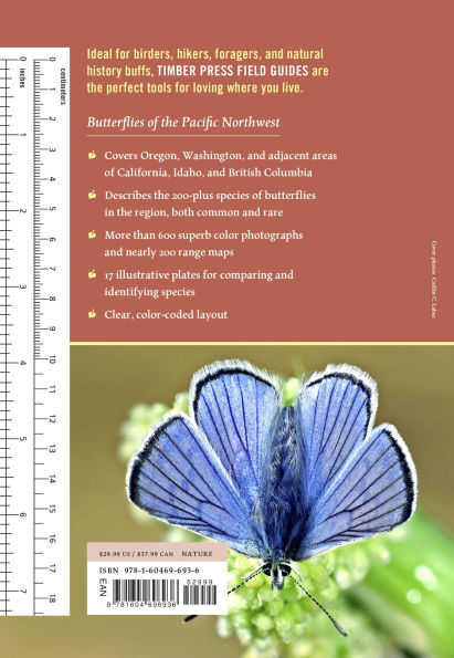 Butterflies of the Pacific Northwest