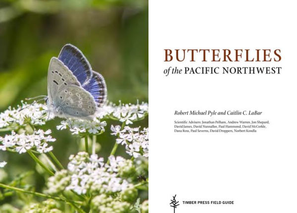 Butterflies of the Pacific Northwest