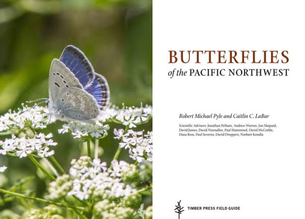 Butterflies of the Pacific Northwest