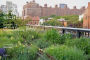 Alternative view 4 of Gardens of the High Line: Elevating the Nature of Modern Landscapes