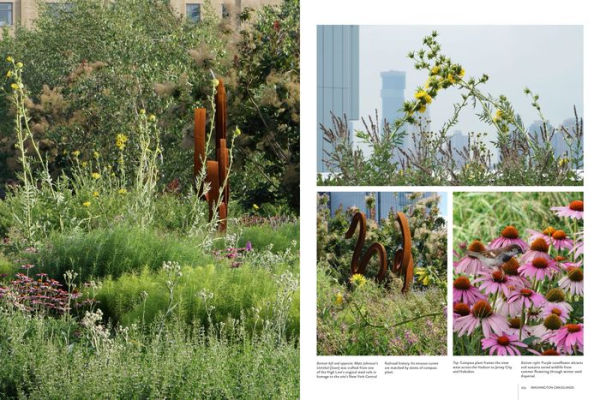 Gardens of the High Line: Elevating the Nature of Modern Landscapes