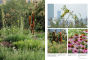 Alternative view 6 of Gardens of the High Line: Elevating the Nature of Modern Landscapes