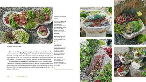 Hypertufa Containers: Creating and Planting an Alpine Trough Garden