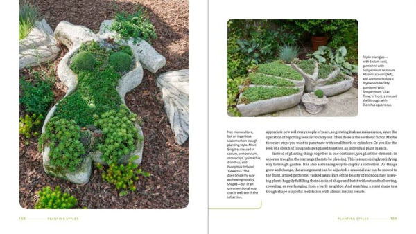 Hypertufa Containers: Creating and Planting an Alpine Trough Garden