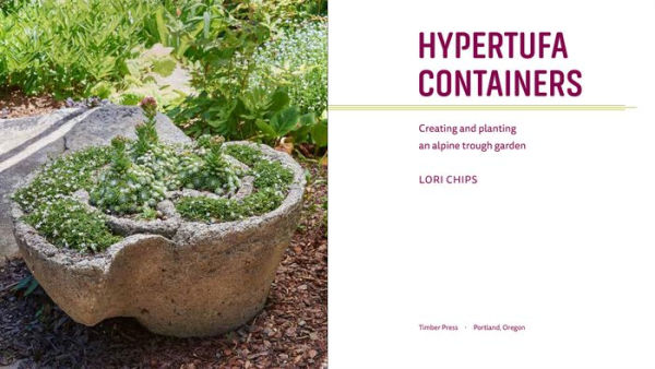 Hypertufa Containers: Creating and Planting an Alpine Trough Garden