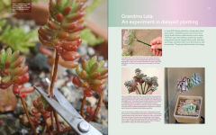 Alternative view 6 of Designing with Succulents