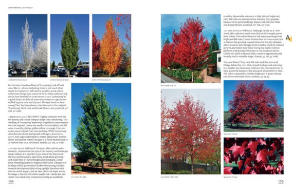 The Tree Book: Superior Selections for Landscapes, Streetscapes, and Gardens