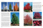 Alternative view 11 of The Tree Book: Superior Selections for Landscapes, Streetscapes, and Gardens